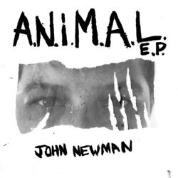 Cover of A.N.i.M.A.L