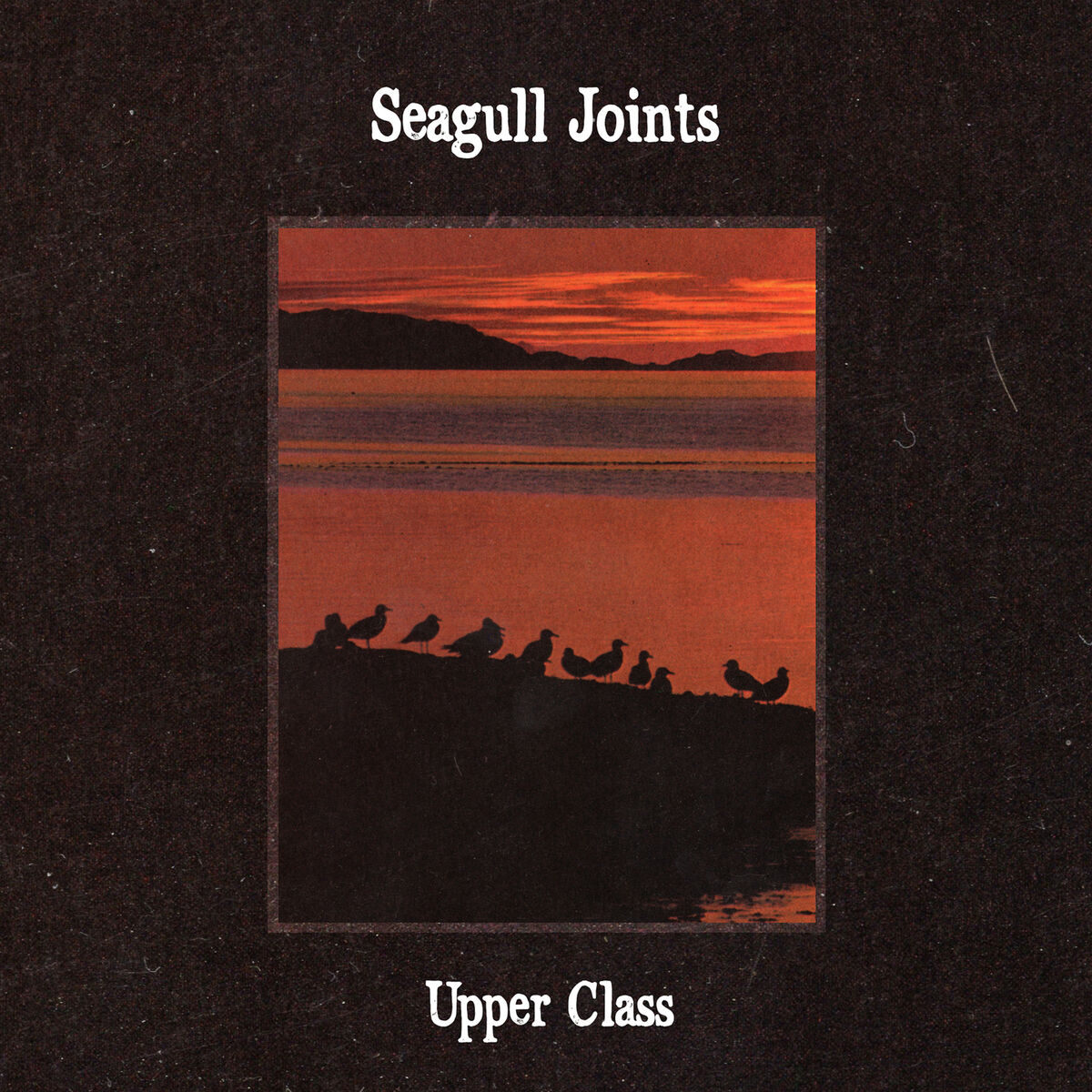 Album cover of seagull joints