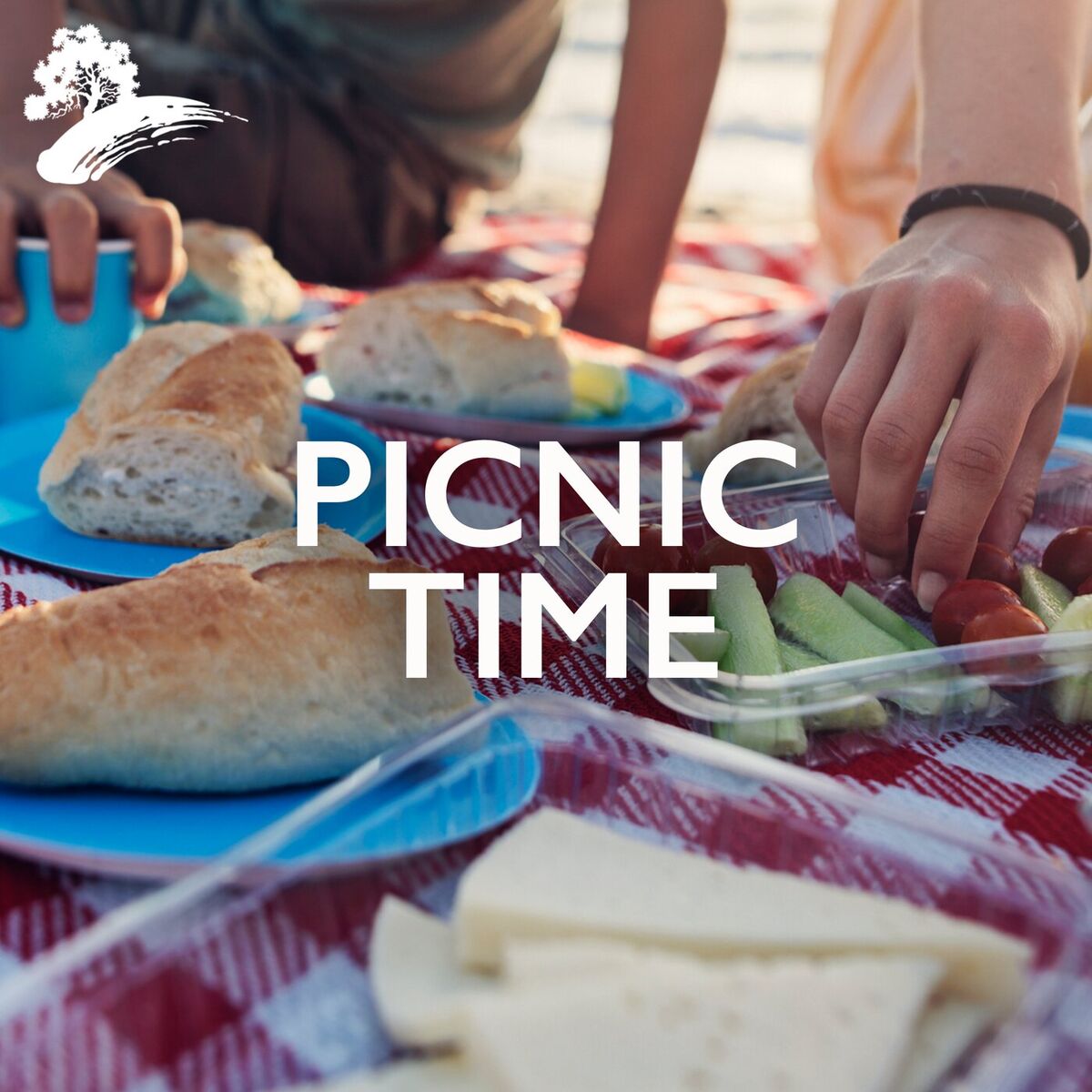 Album cover of Picnic Time