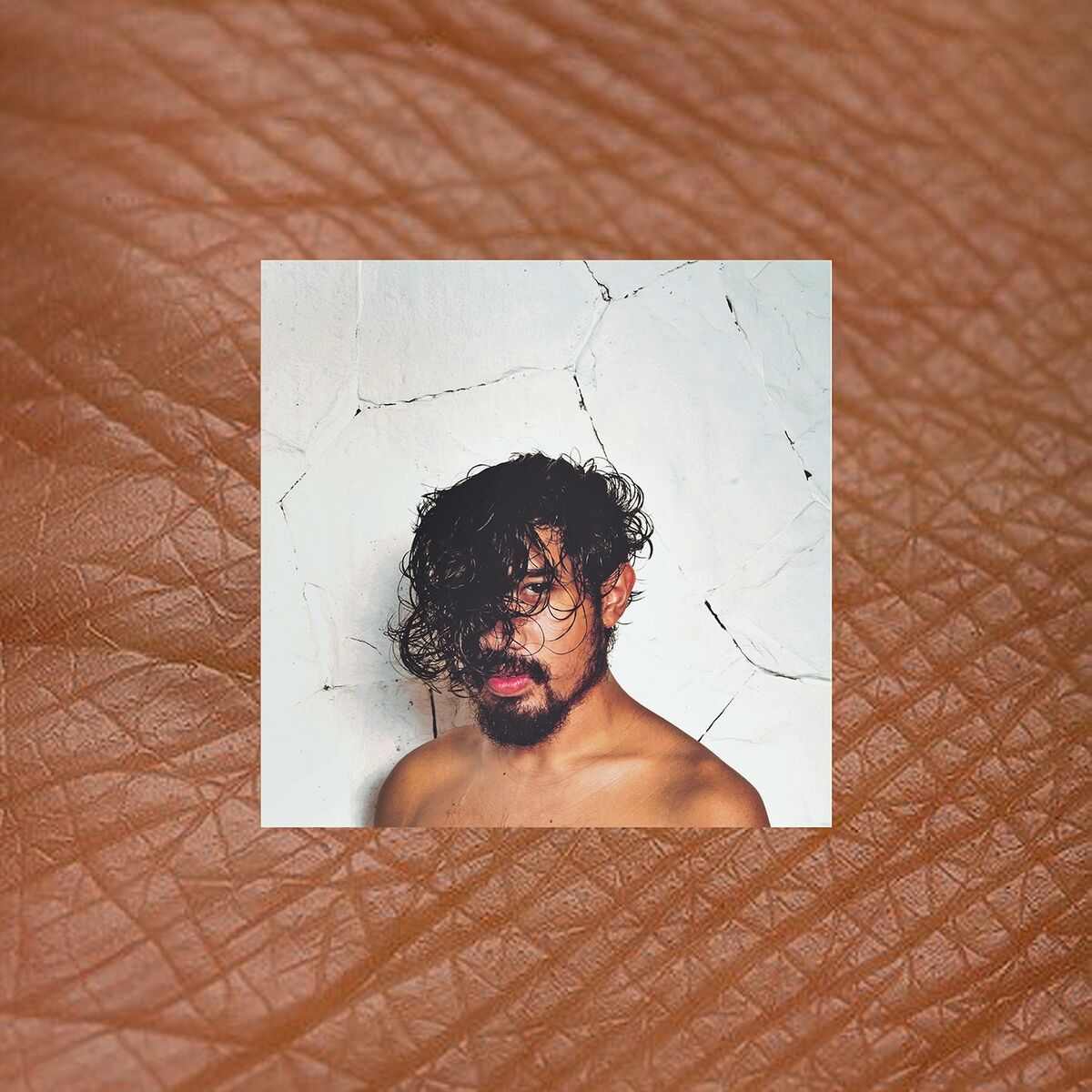 Album cover of I Bleach My Skin