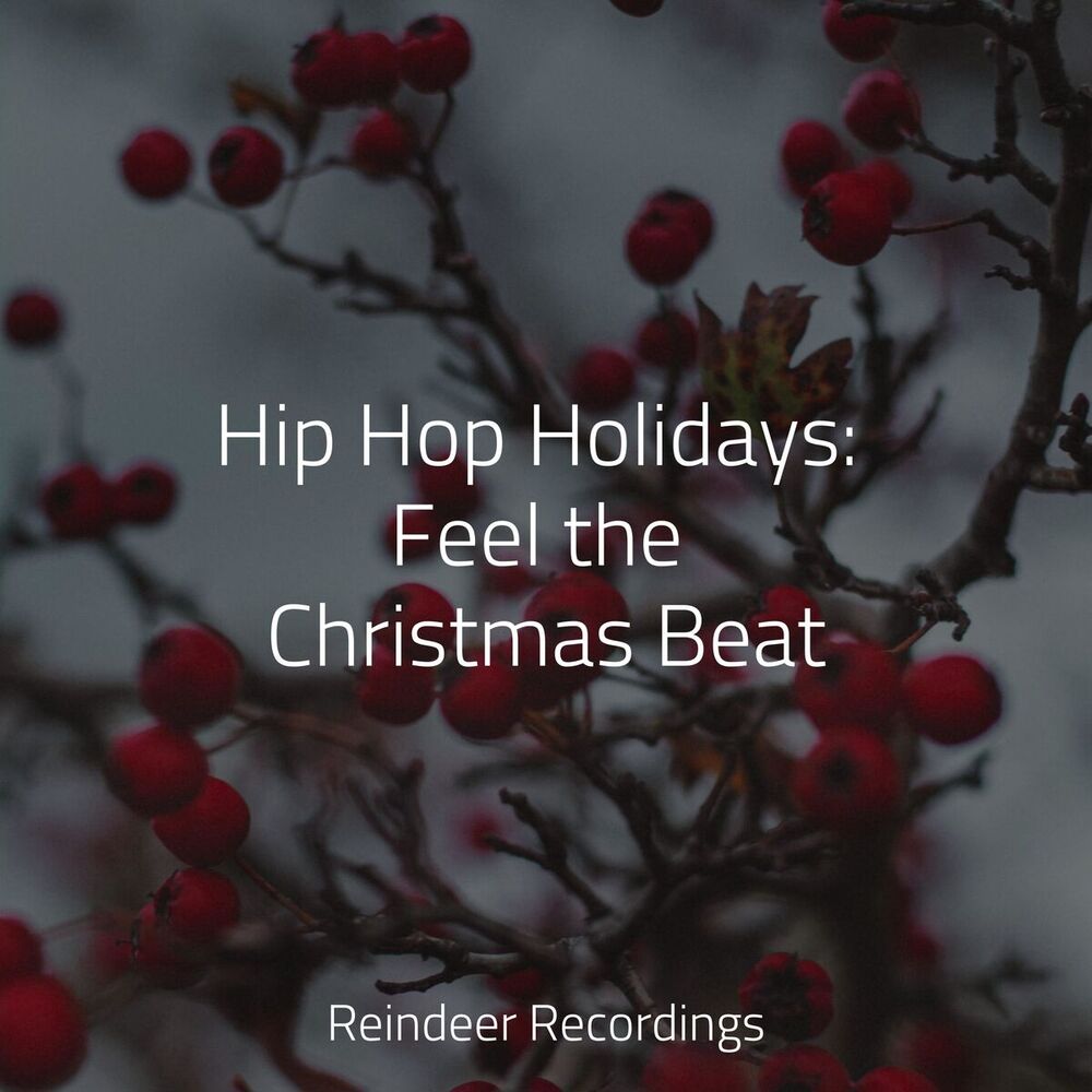 Picture of Hip Hop Holidays: Feel the Christmas Beat