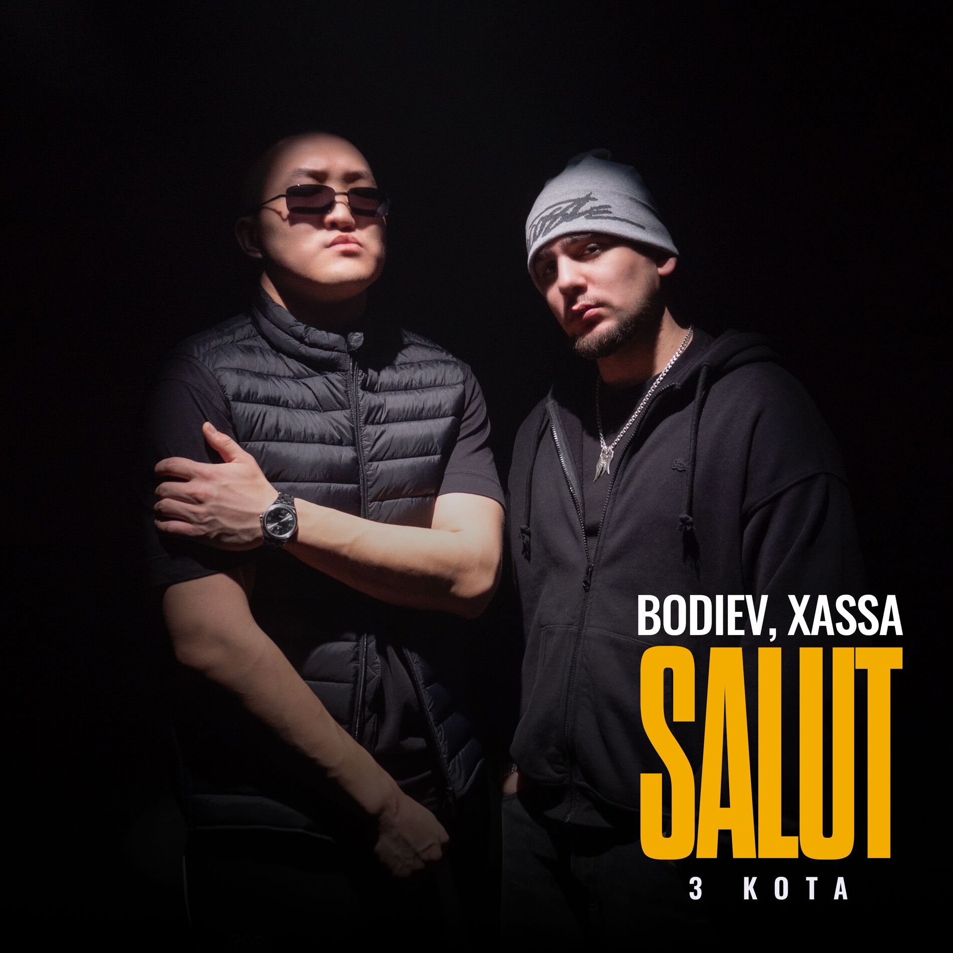 Album cover of Salut
