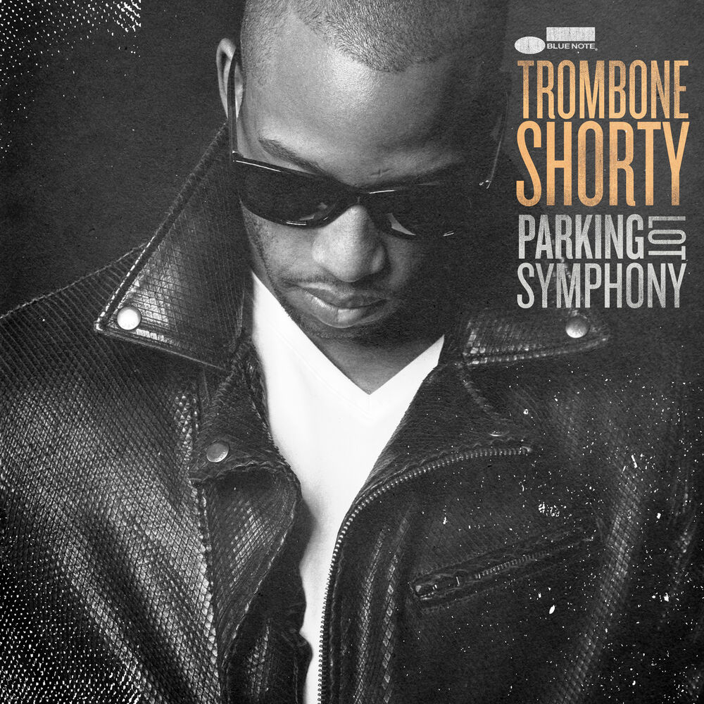 Picture of Parking Lot Symphony