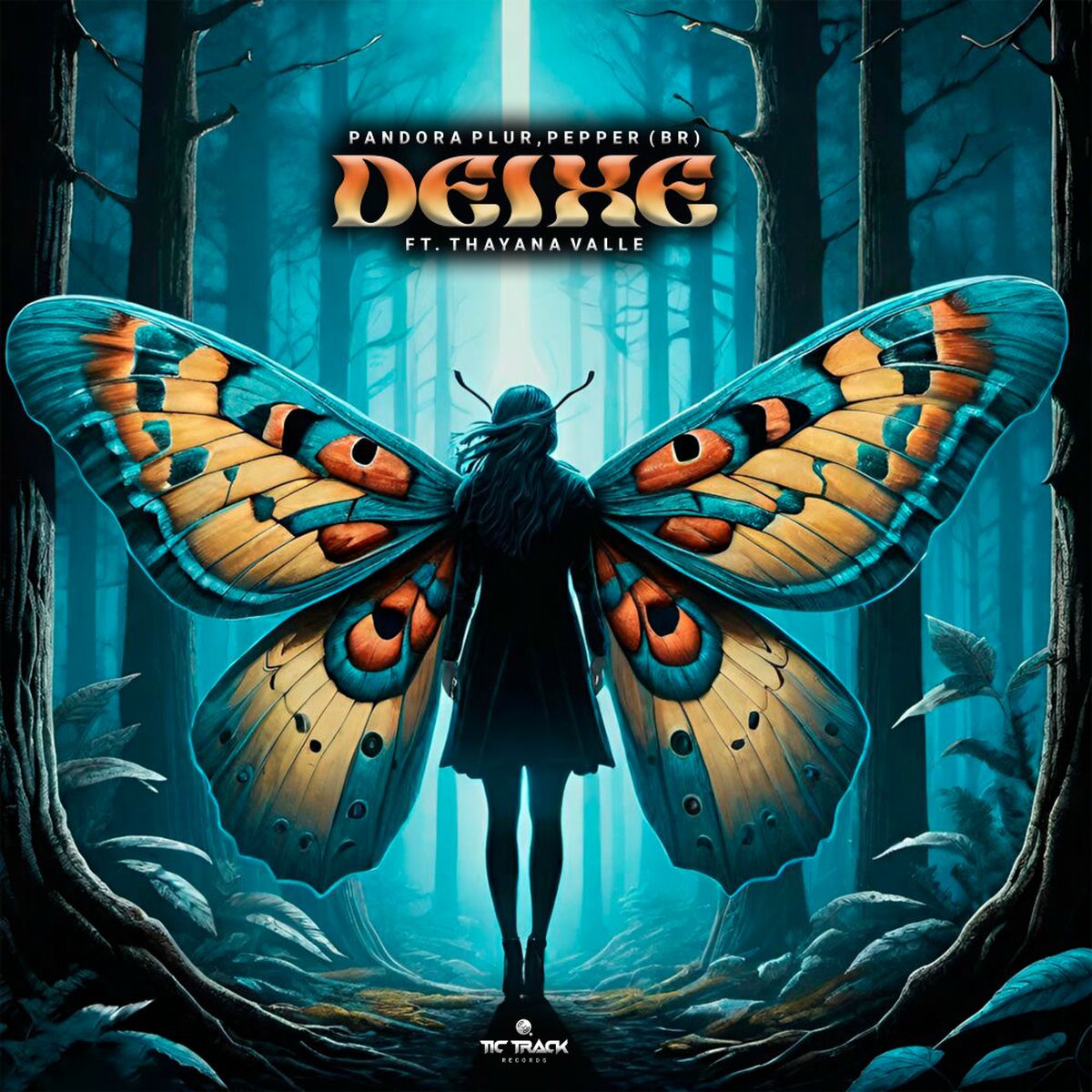 Album cover of DEIXE