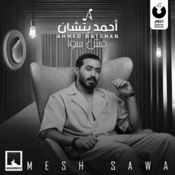 Cover of Mesh Sawa