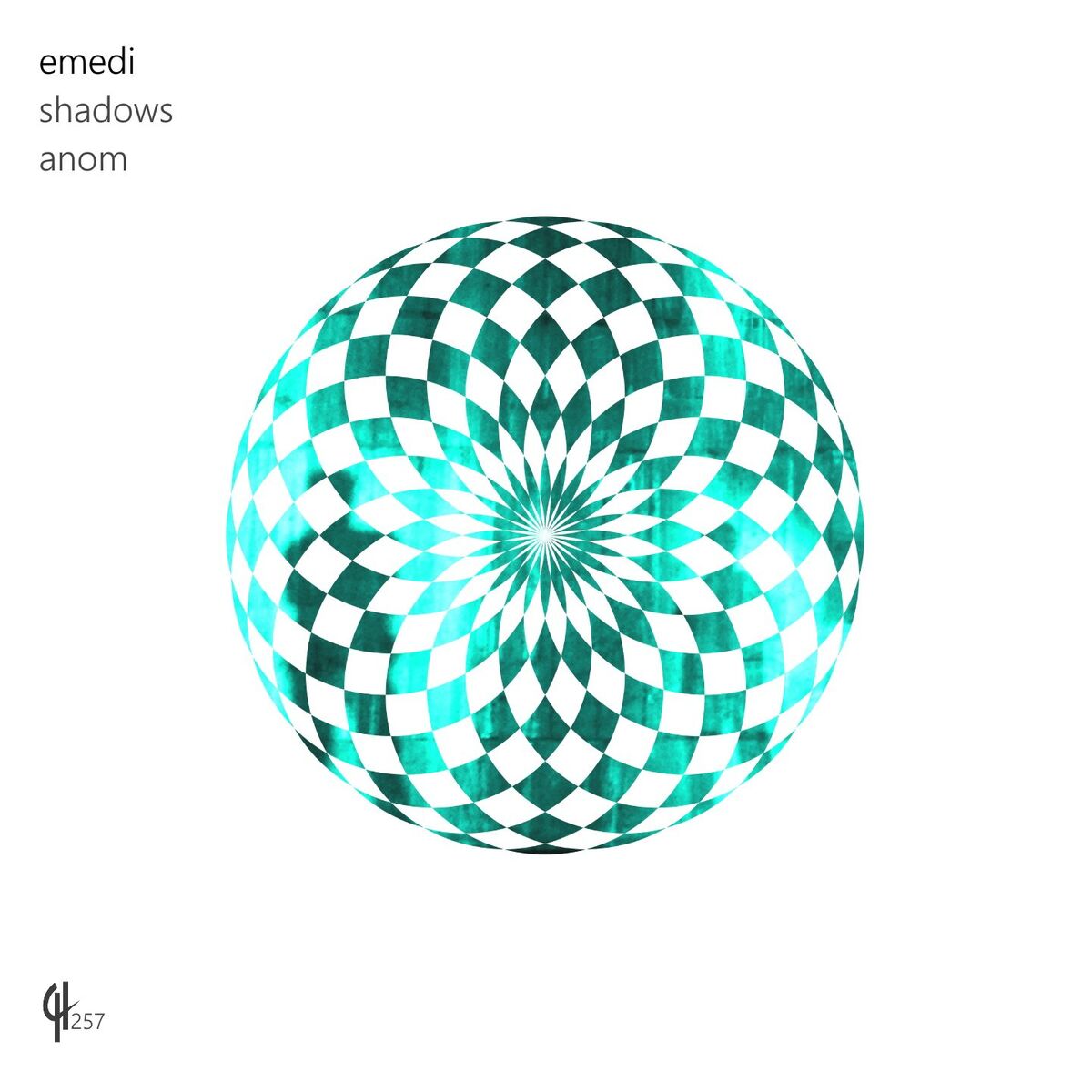 Album cover of Anom / Shadows