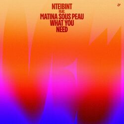 Cover of What You Need