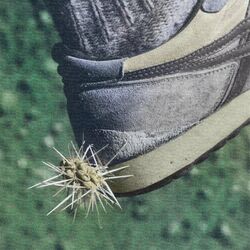 Cover of Tread