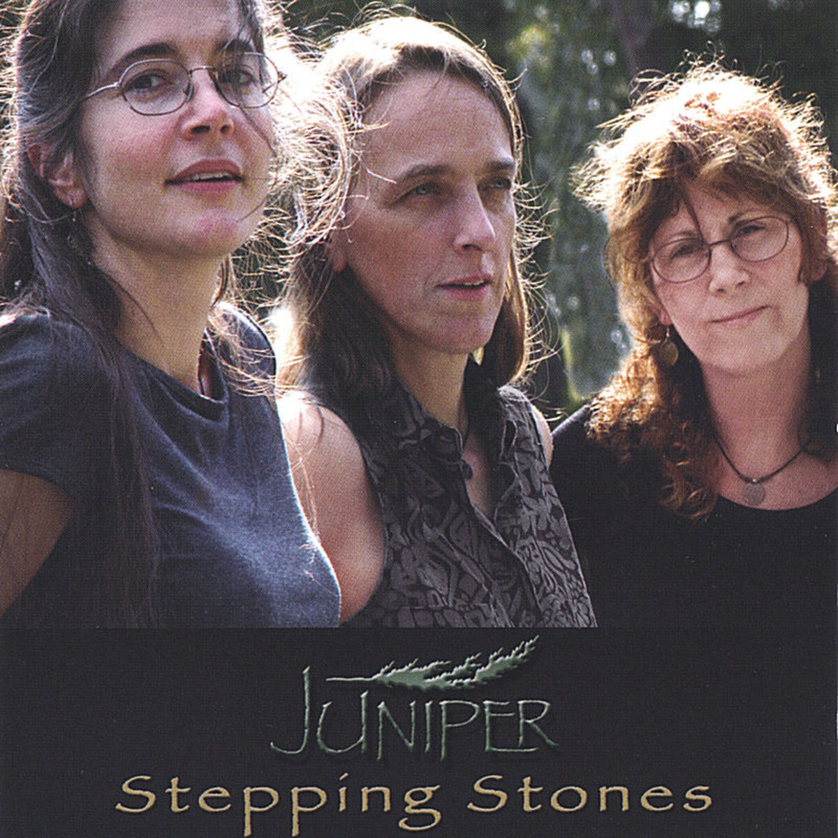Album cover of Stepping Stones