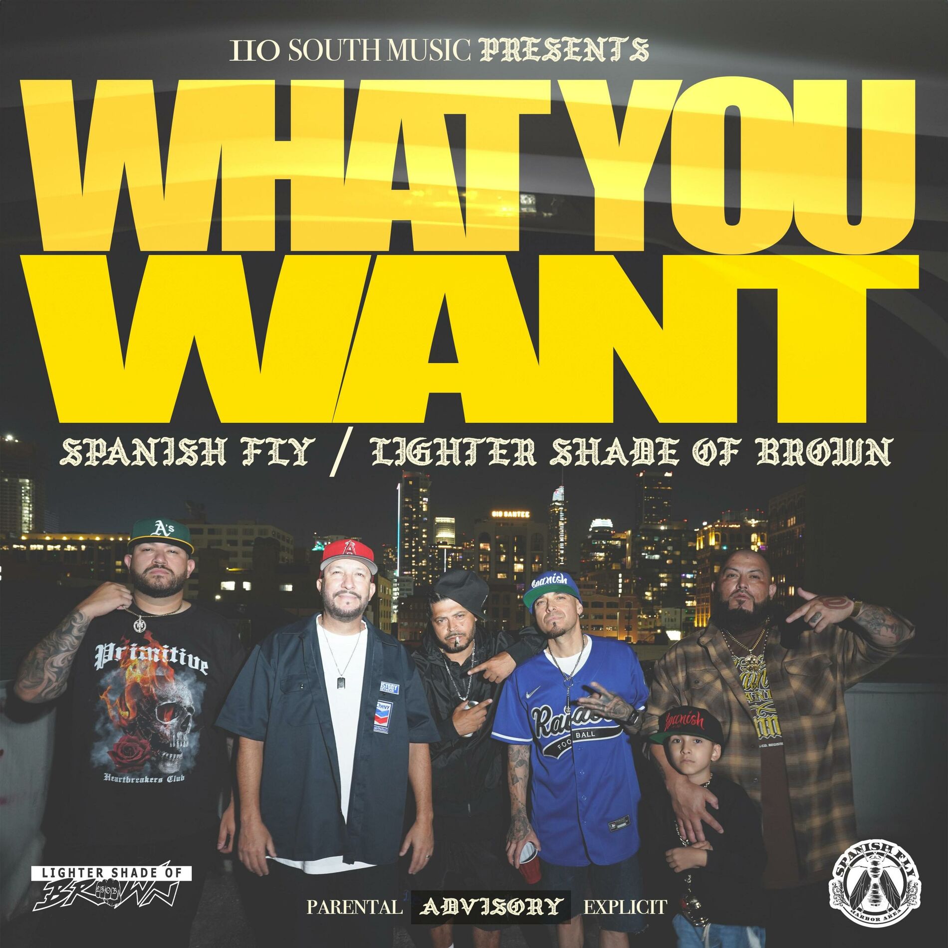 Album cover of What You Want (feat. Lighter Shade of Brown, ODM & Money Moons)