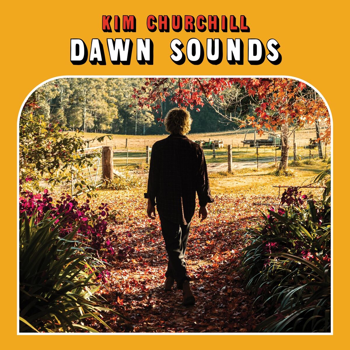 Album cover of Dawn Sounds