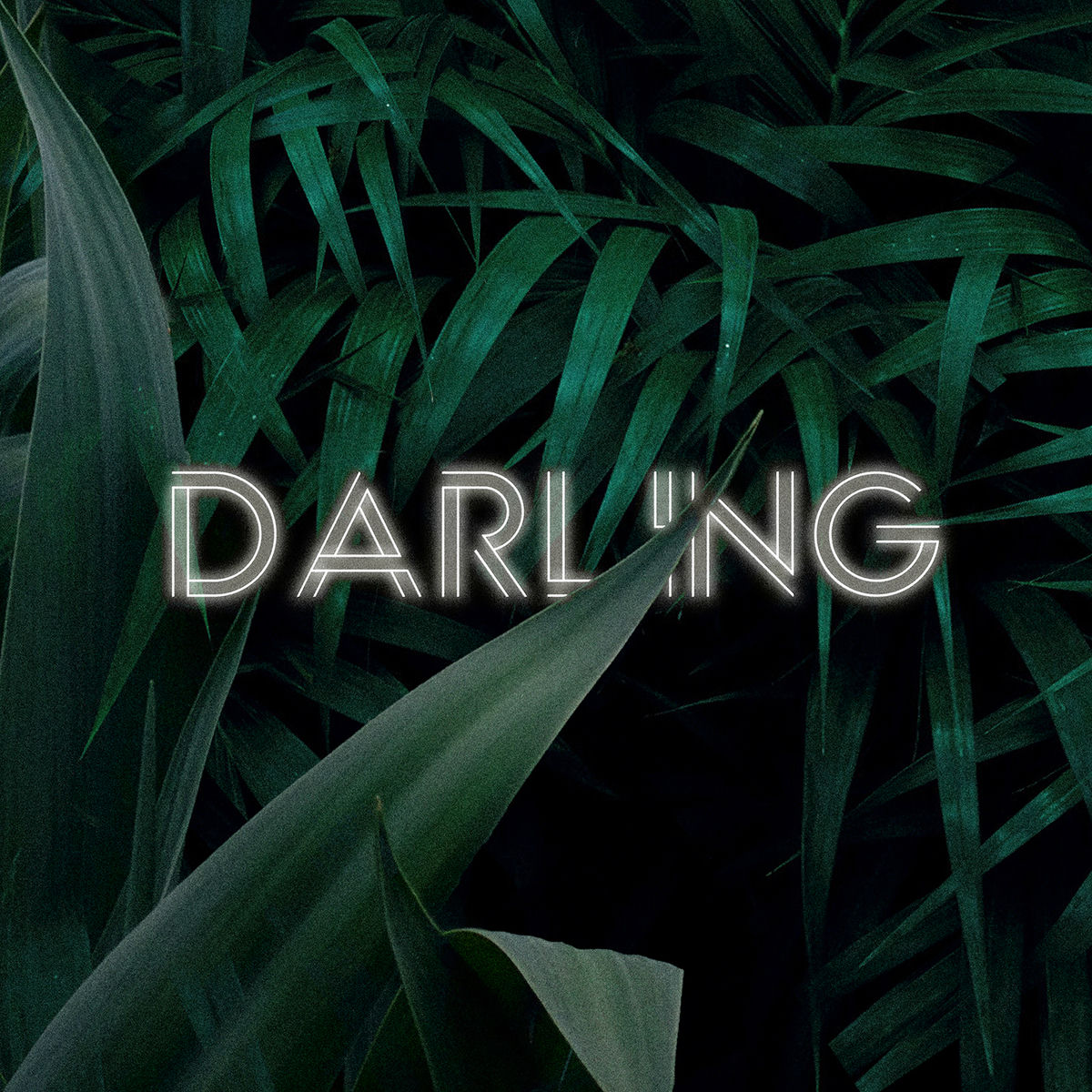 Album cover of Darling