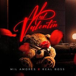 Cover of Mal Valentin