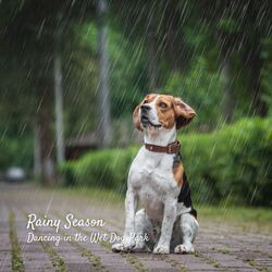Cover of Rainy Season: Dancing in the Wet Dog Park