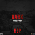 DARK | Bobby lane Project