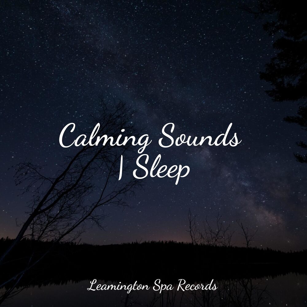 Picture of Calming Sounds | Sleep