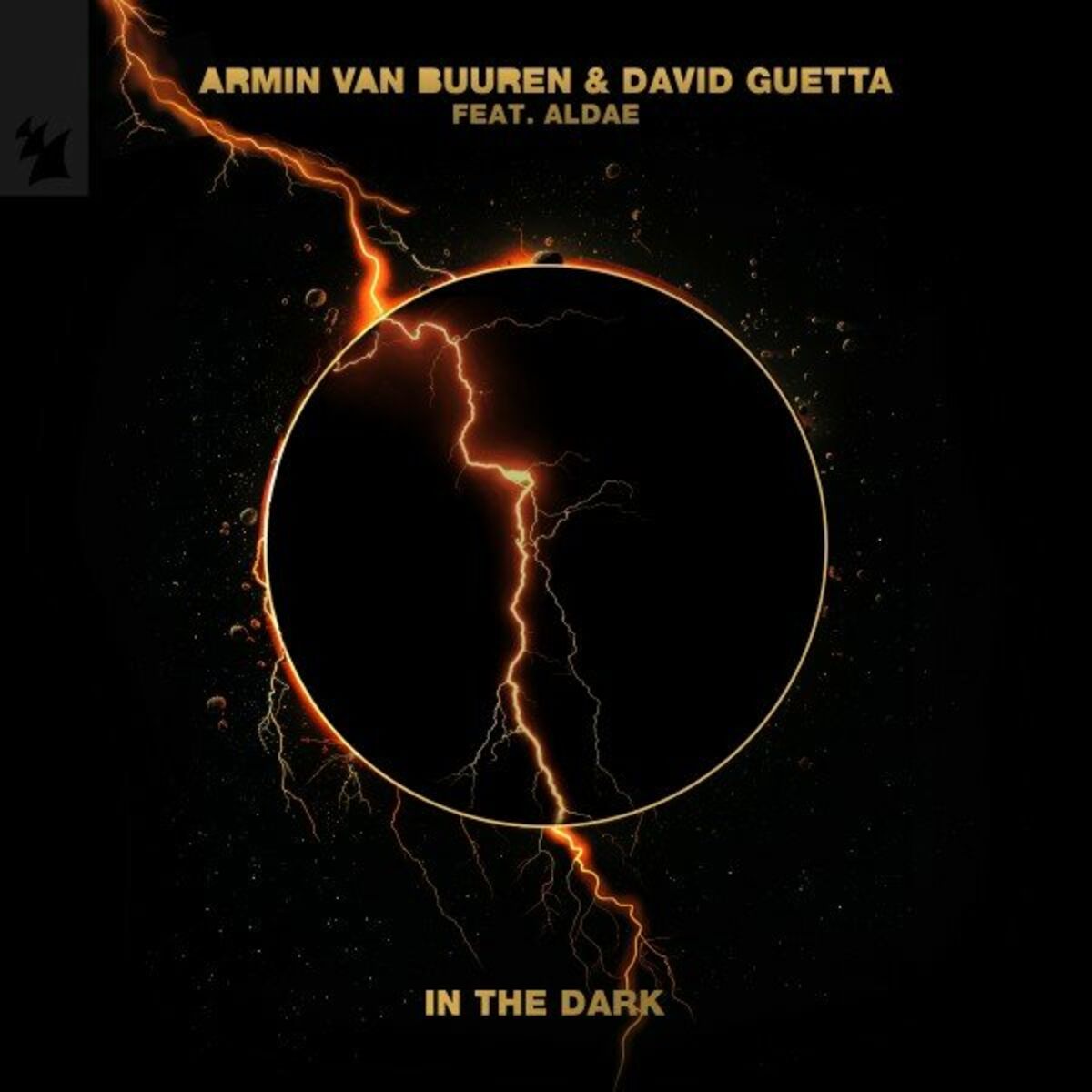 Album cover of In the Dark