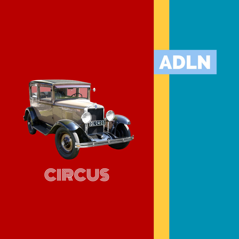 Picture of Circus