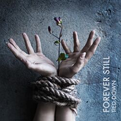Cover of Tied Down
