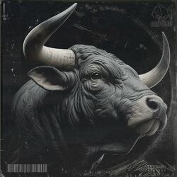 Cover of Crashtest