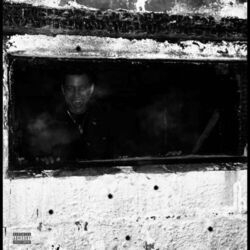 Cover of Death wish