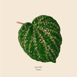 Cover of Tropics