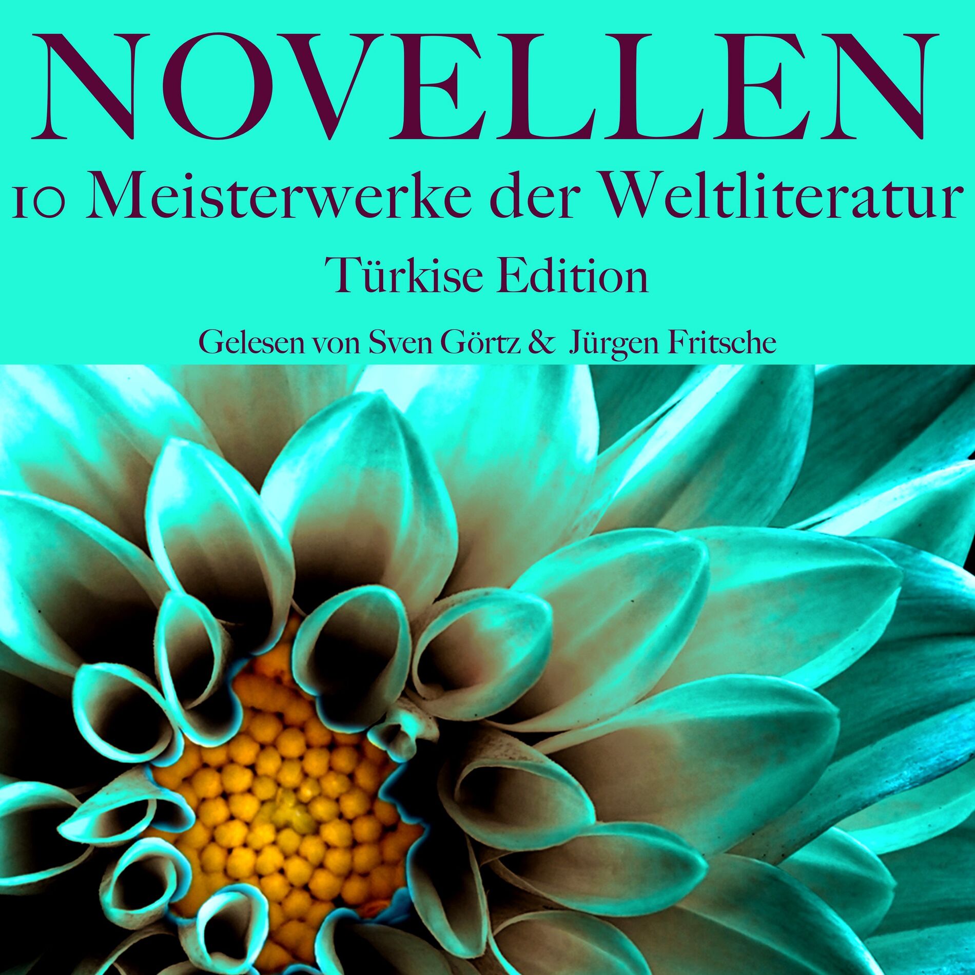 Album cover of Novellen: Zehn Meisterwerke der Weltliteratur (Türkise Edition)