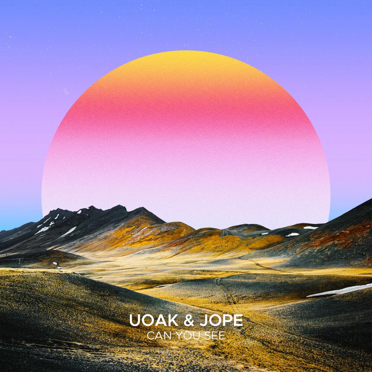 Album cover of Can You See