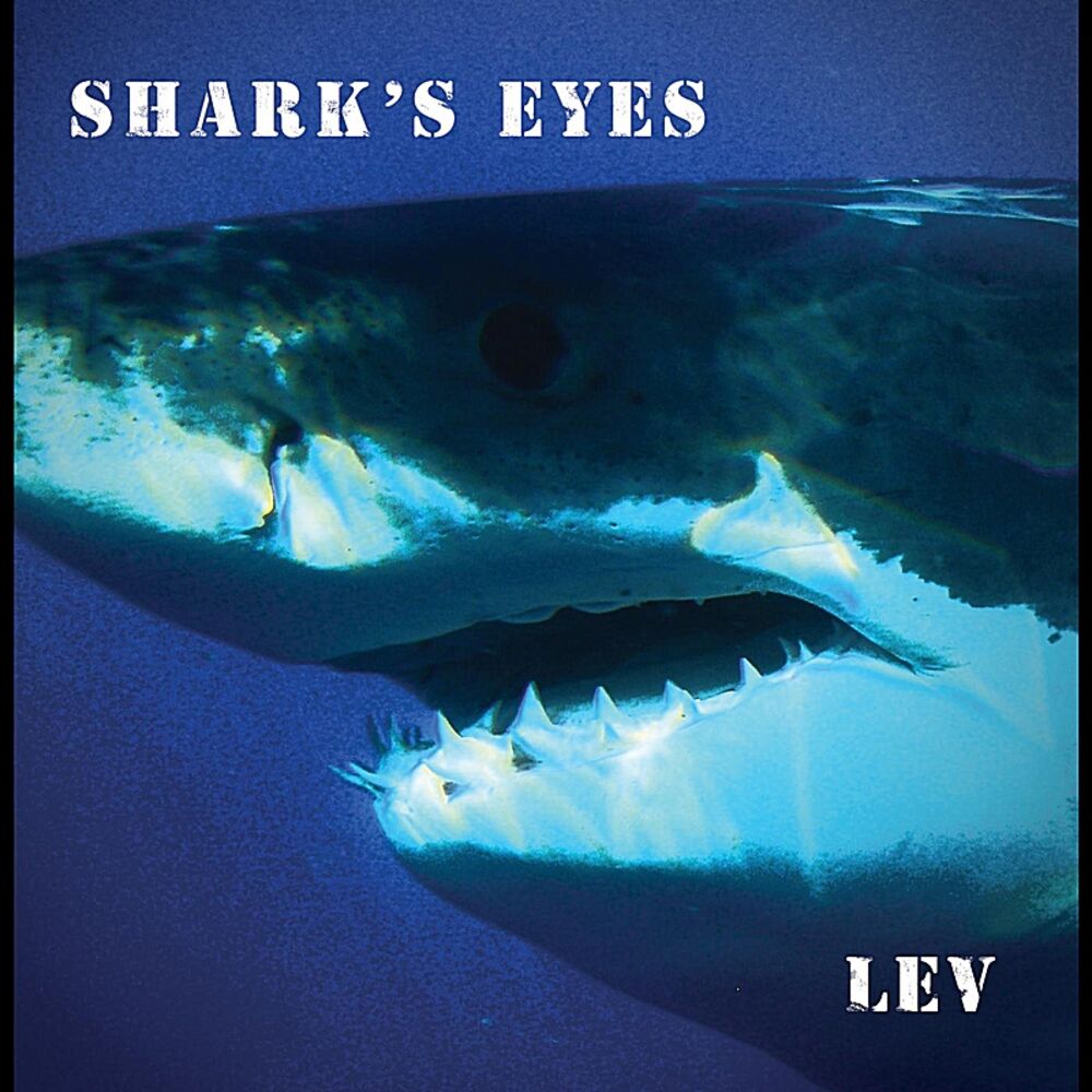 Picture of Shark's Eyes