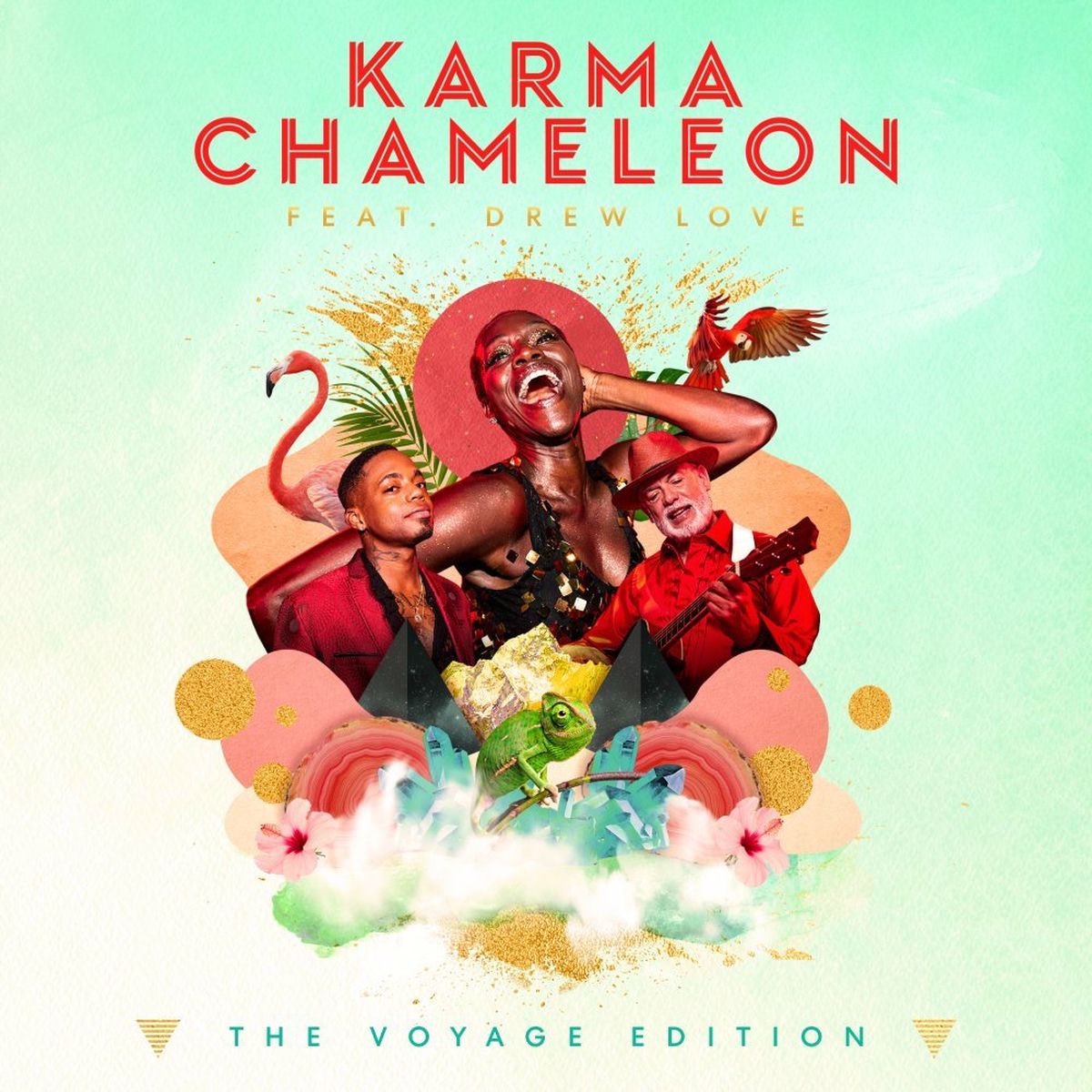 Album cover of Karma Chameleon