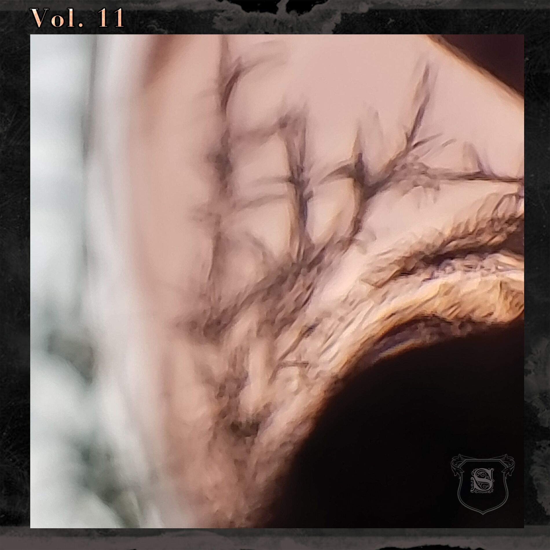 Album cover of Seippelabel Vol. 11