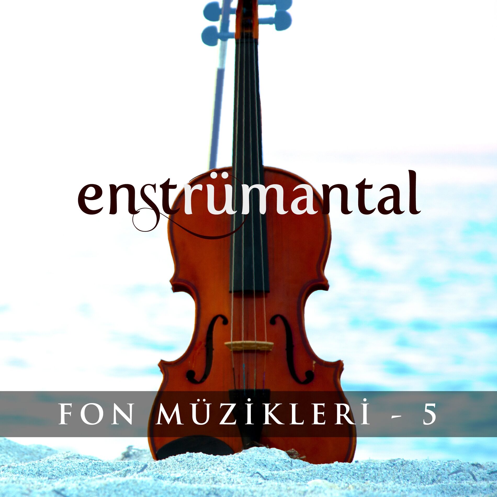 Album cover of Enstrümantal Fon Müzikleri - 5