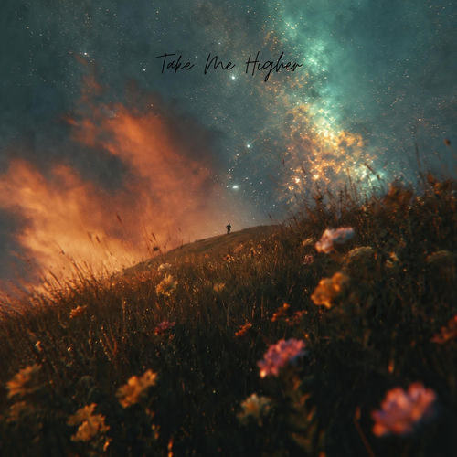 Take Me Higher artwork