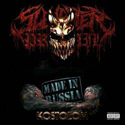 Cover of Kostolom