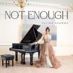 Cover of Not Enough
