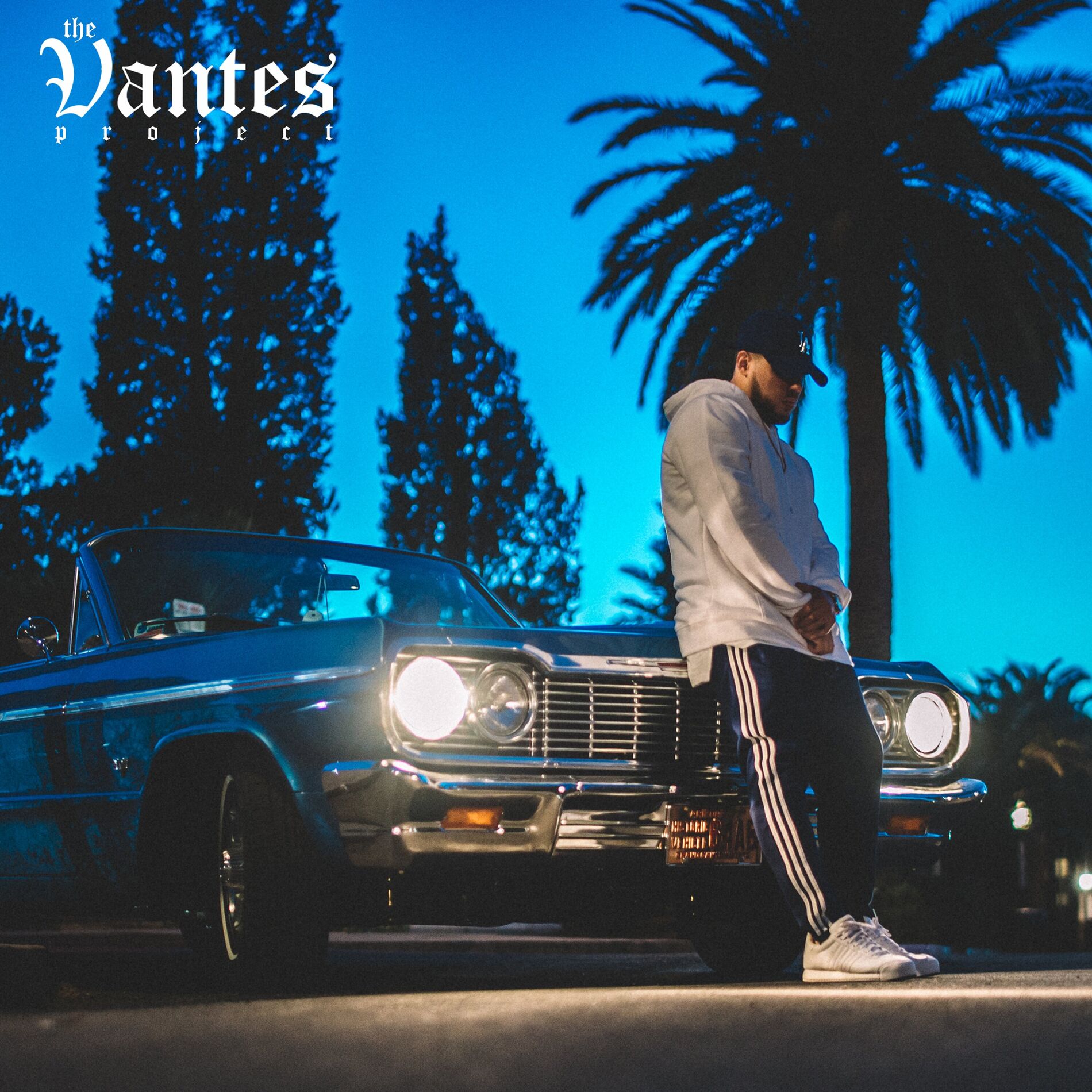 Album cover of The Vantes Project