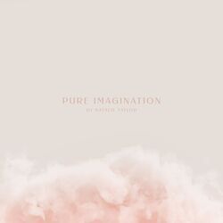 Cover of Pure Imagination