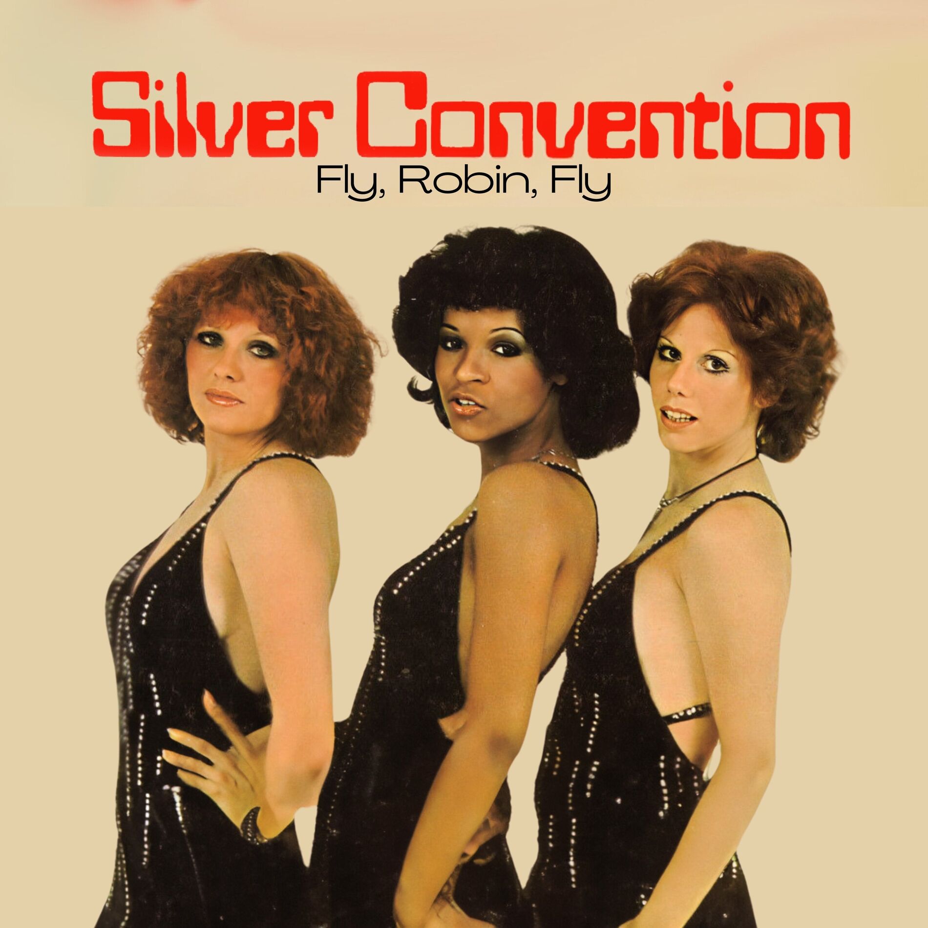 Album cover of Fly, Robin, Fly
