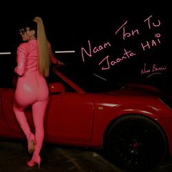 Cover of Naam Toh Tu Jaanta Hai