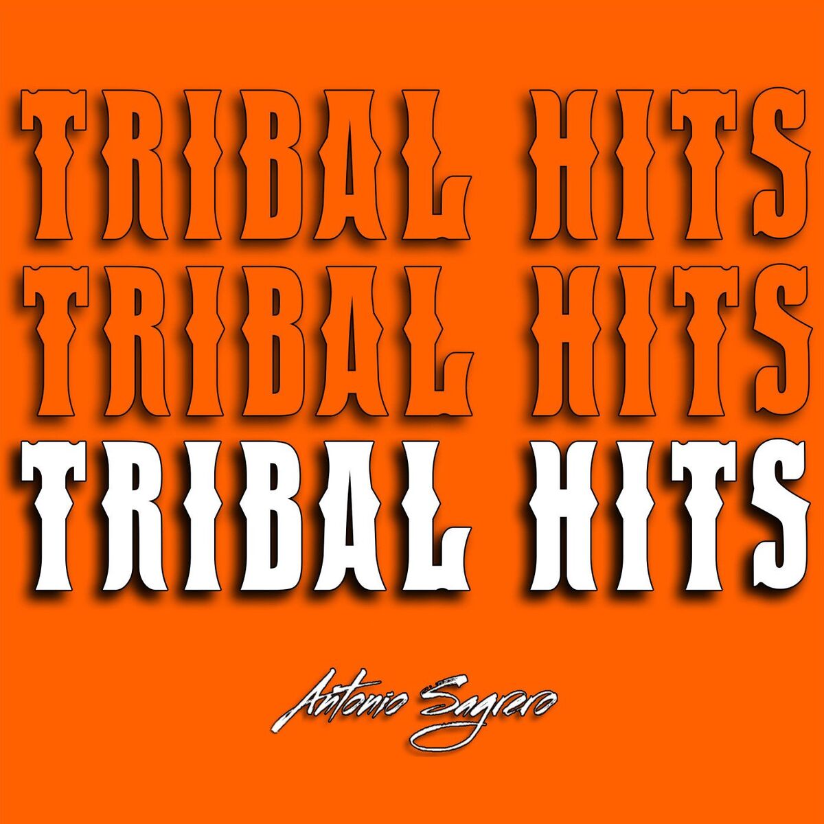 Album cover of Tribal Hits