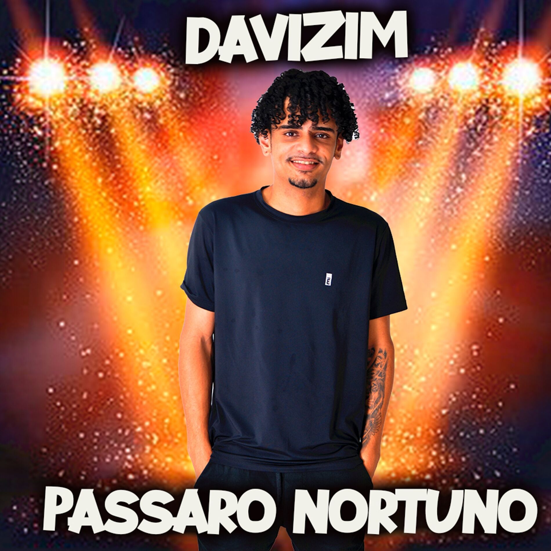 Album cover of Passaro Nortuno -Seresta do Davizim