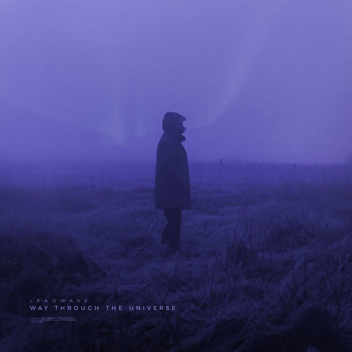 Album cover of way through the universe