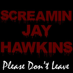 Cover of Please Don't Leave
