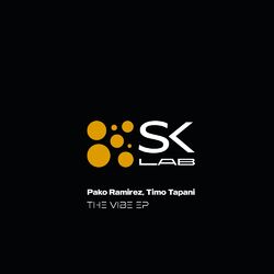 Cover of The Vibe