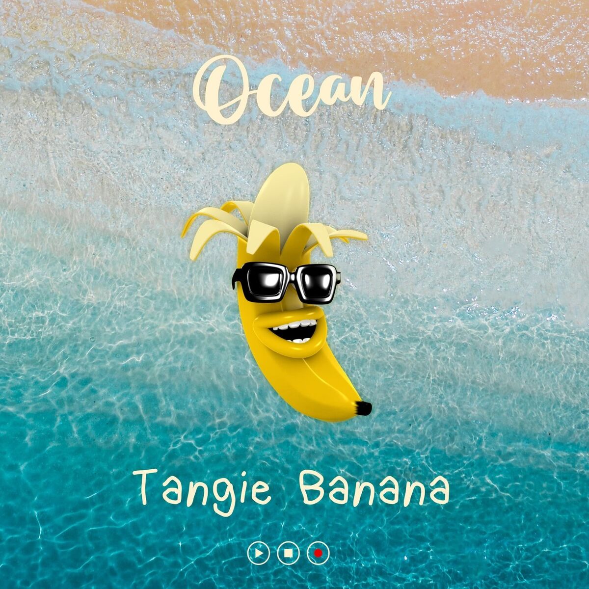 Album cover of Ocean