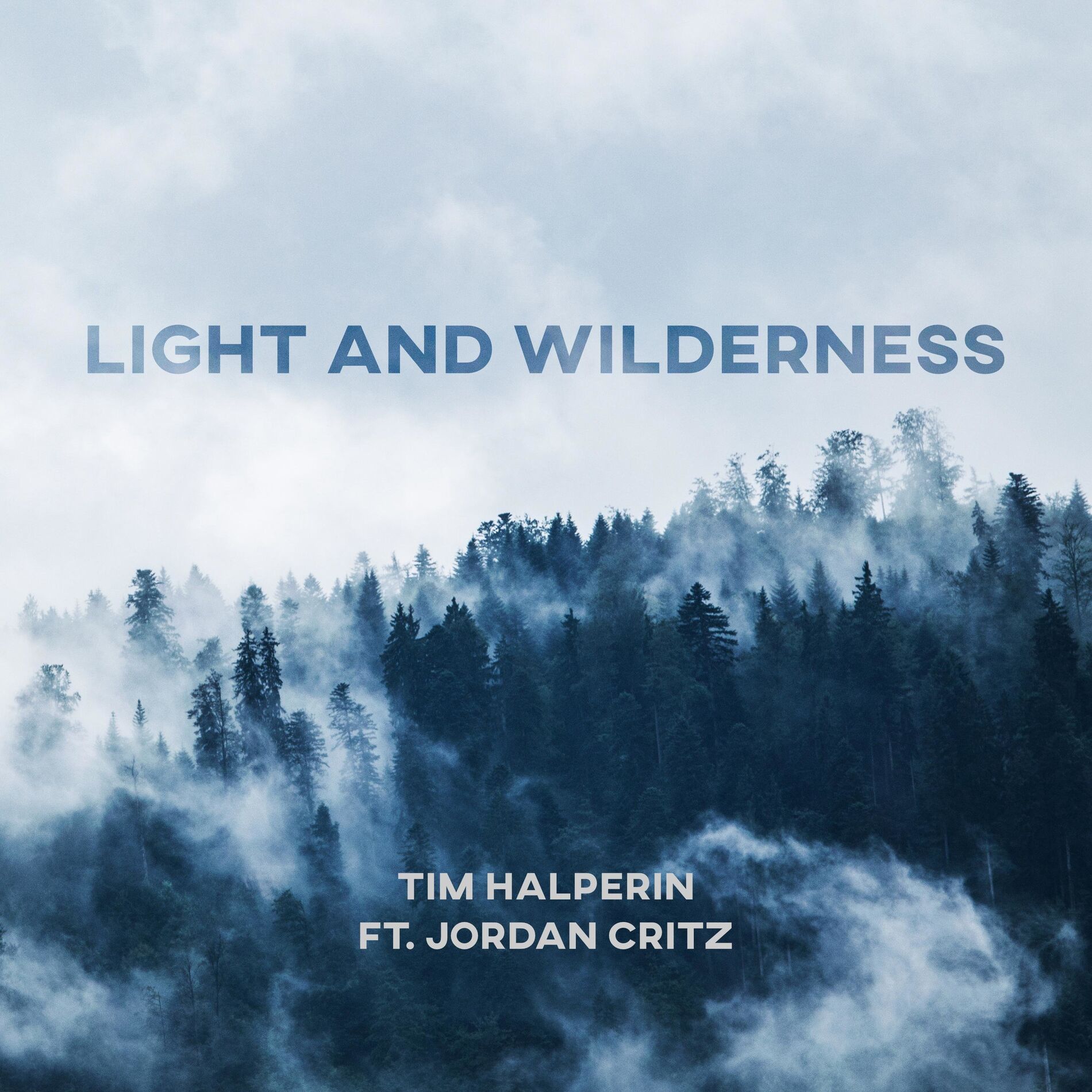 Album cover of Light and Wilderness (feat. Jordan Critz)