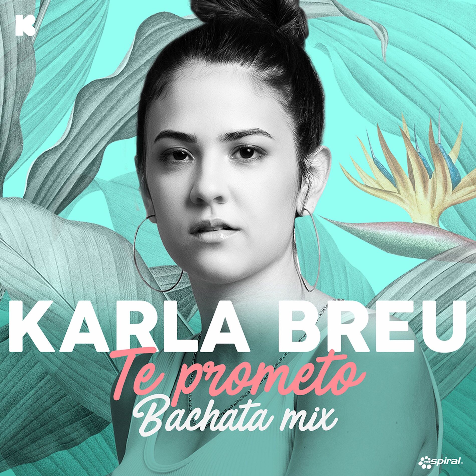 Album cover of Te Prometo (Bachata Mix)