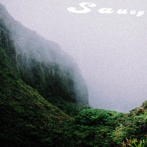 Saucy, Vol. 1