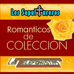 Cover of Romanticos De Coleccion