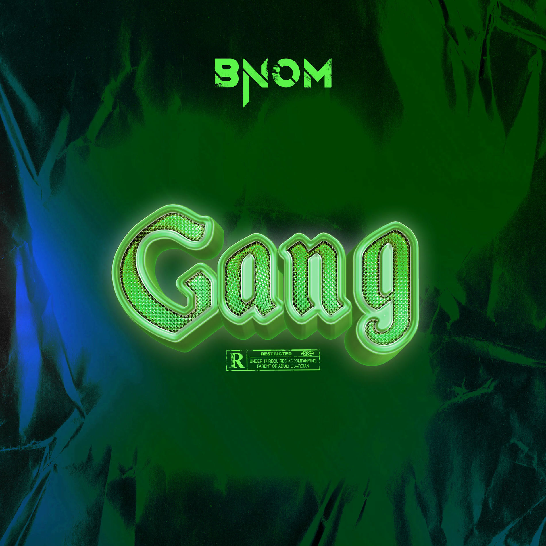 Album cover of Gang (Freestyle)